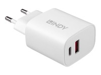Lindy - Netzteil - 20 Watt - 3 A - PD 3.0 - 2 Ausgabeanschlussstellen (USB, 24 pin USB-C) - weiß