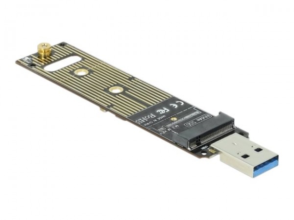DeLOCK - Speicher-Controller - M.2 - M.2 NVMe Card - 10 Gbit/s - USB 3.1 (Gen 2)